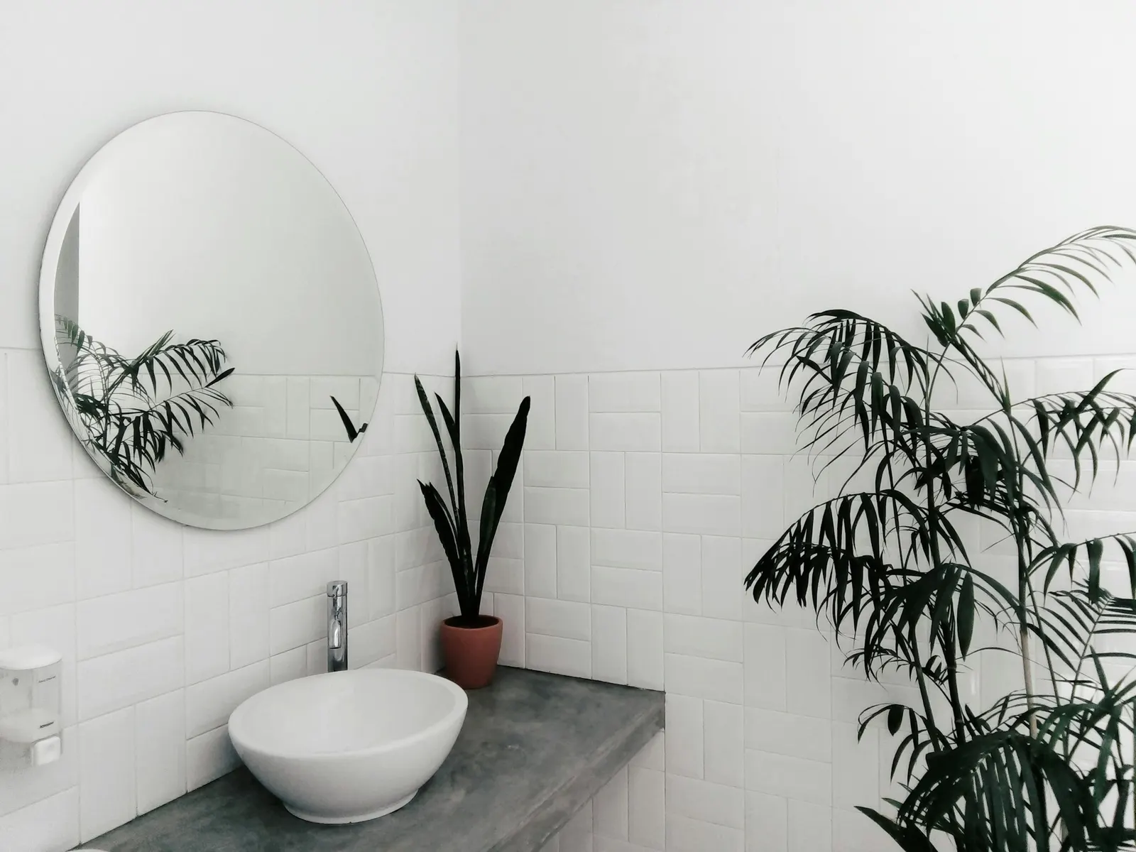 Spotless white bathroom with a plant beside the sink and mirror