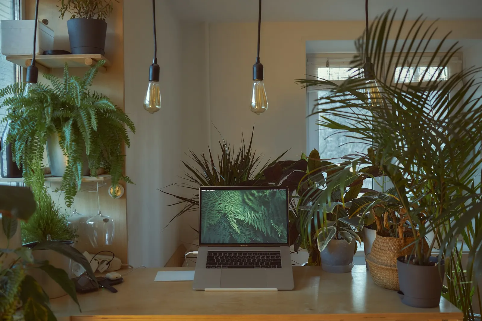 Cozy home office desk with an open laptop surrounded by houseplants