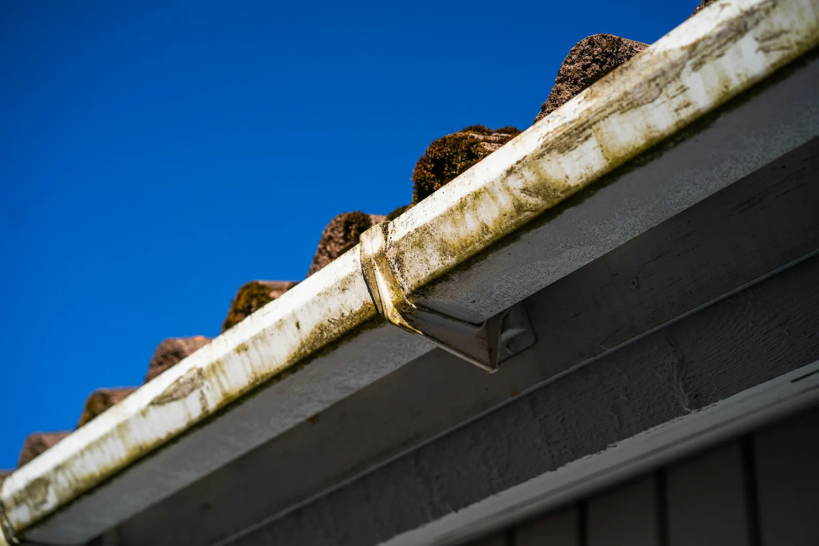 Dirty gutter clogged with debris along a tiled roof edge against blue sky