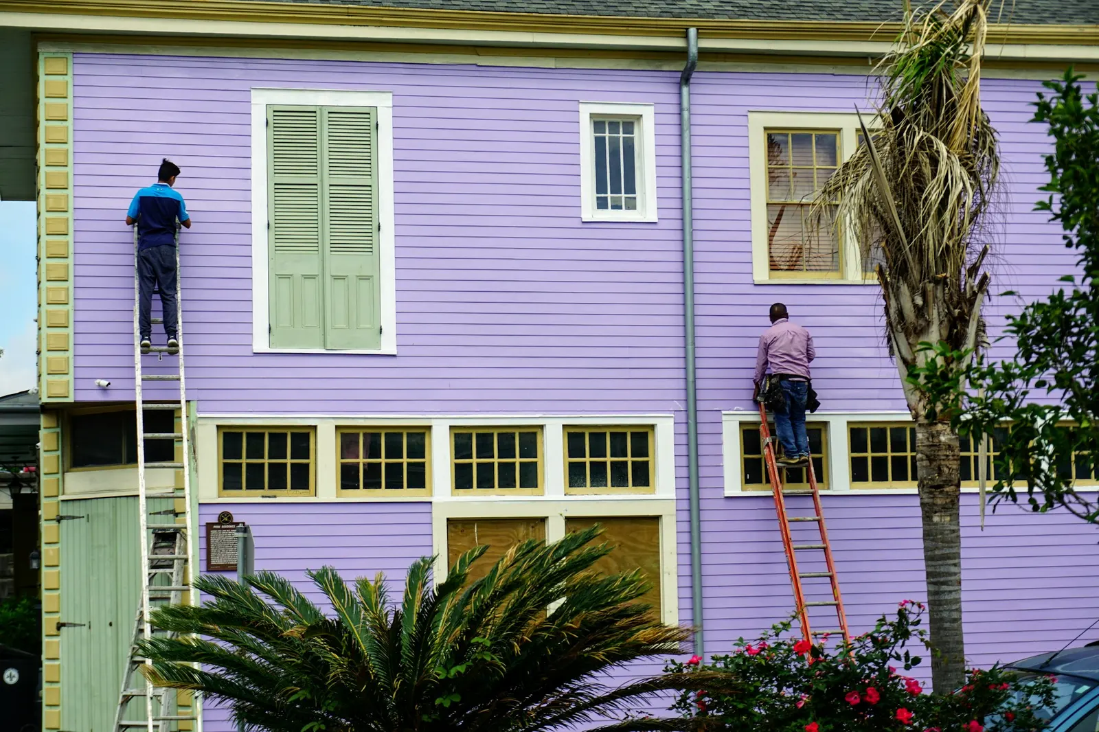 Two workers on ladders leaning against the side of a purple house