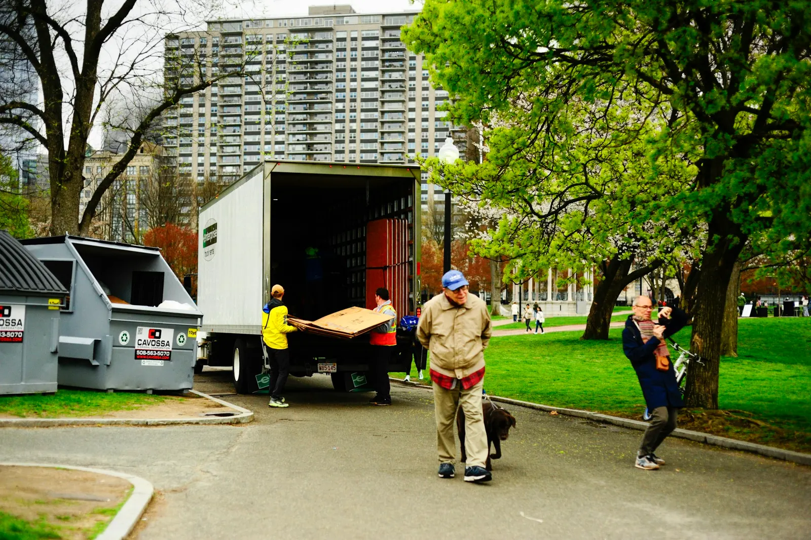 Crew unloading furniture from the back of a moving truck on a tree-lined street