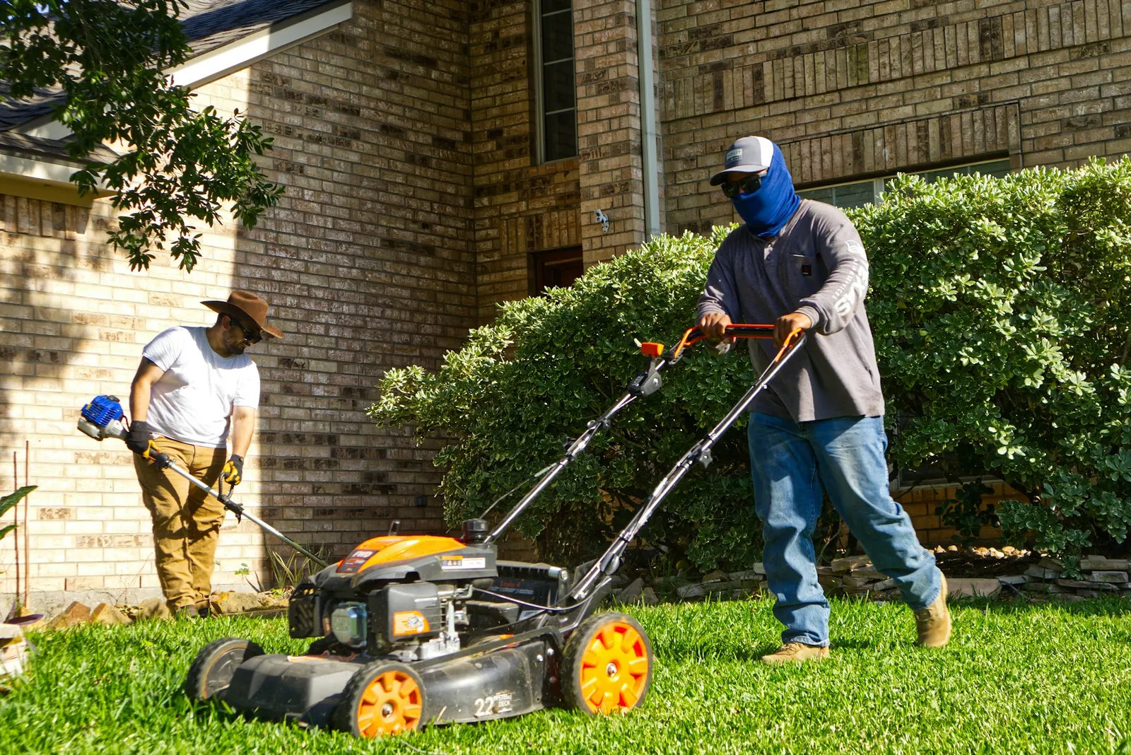 Two lawn care workers mowing and trimming a lush residential lawn