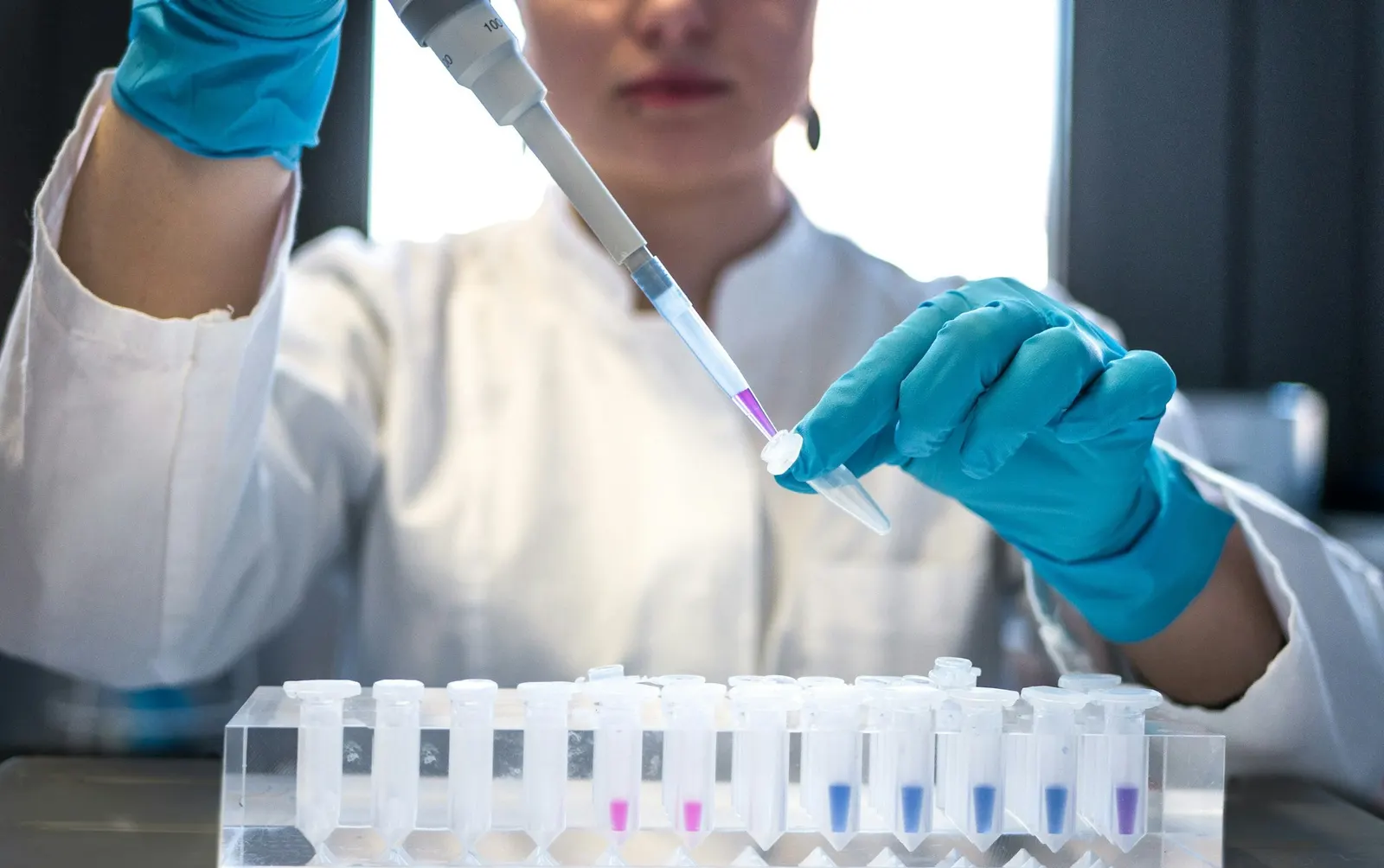 Gloved laboratory technician pipetting into a rack of sample tubes