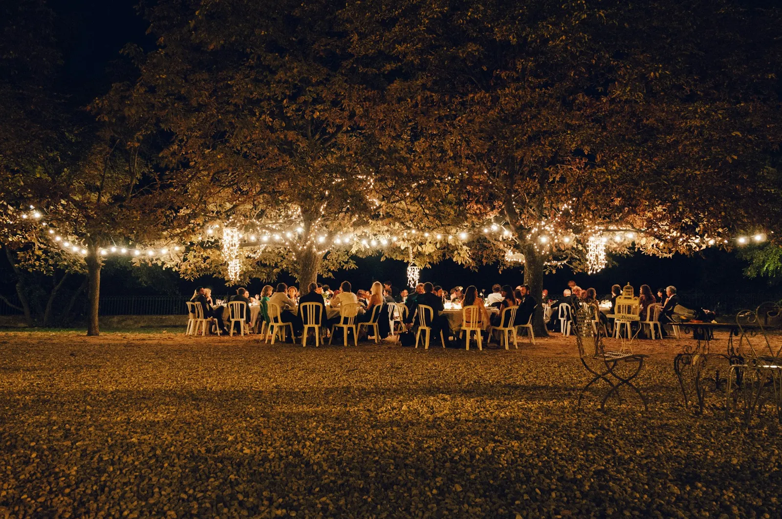 Wedding guests dining under trees strung with festoon lights at nightfall
