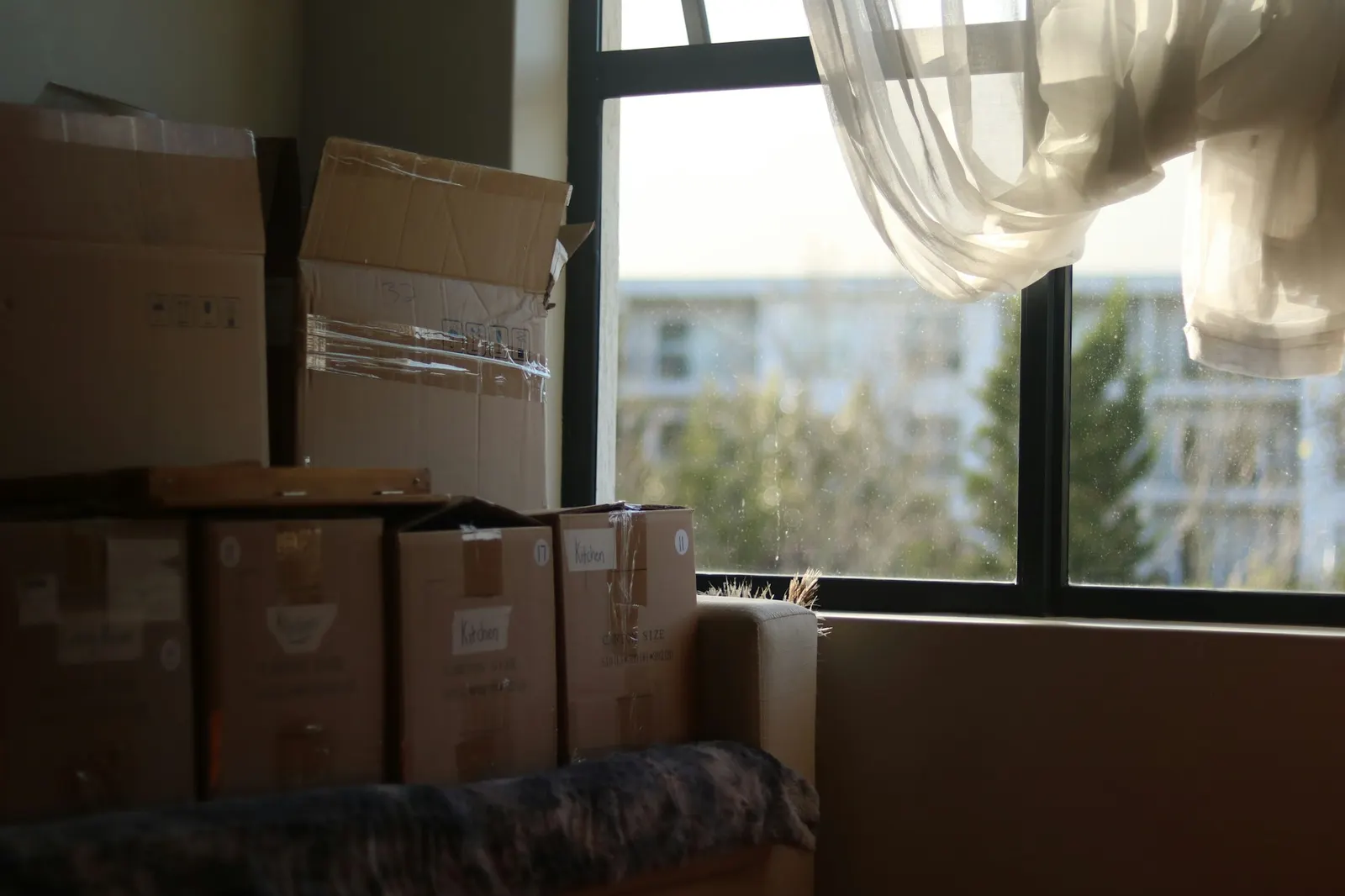 Packed cardboard moving boxes stacked in a sunlit living room by the window